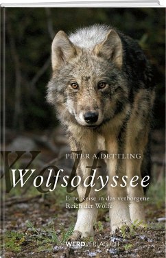 Wolfsodyssee - Dettling, Peter A.