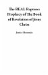The REAL Rapture: Prophecy of The Book... - Bild 1