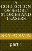 Short Stories Teasers Book 1 (eBook, ePUB)