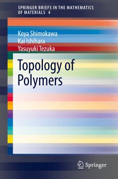 Topology of Polymers (eBook, PDF) - Shimokawa, Koya; Ishihara, Kai; Tezuka, Yasuyuki