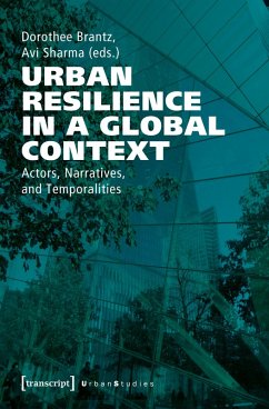 Cover Urban Resilience in a Global Context (eBook, PDF)