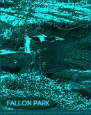 Fallon Park (eBook, ePUB)