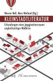 Kleinstadtliteratur (eBook, PDF)