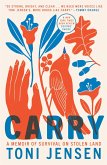 Carry (eBook, ePUB)