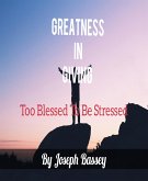 Greatness In Giving (eBook, ePUB)
