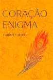 Coração enigma (eBook, ePUB)