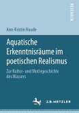 Aquatische Erkenntnisräume im poetischen Realismus (eBook, PDF)