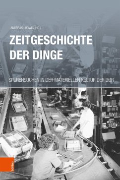 Zeitgeschichte der Dinge (eBook, PDF)