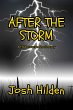 After The Storm (The Hildenverse)... - Bild 1
