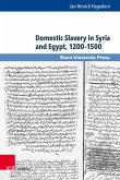 Domestic Slavery in Syria and Egypt, 1200-1500 (eBook, PDF)