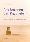 Am Brunnen der Propheten (eBook, ePUB)