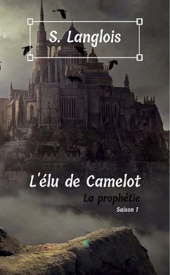 L'élu de Camelot - Saison 1 (eBook, ePUB) - Langlois, S.