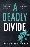 A Deadly Divide (eBook, ePUB)