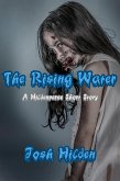 The Rising Water (The Hildenverse) (eBook, ePUB)