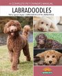 Labradoodles (eBook, ePUB) - Bild 1