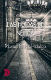 Las huidas de Nélida (eBook, ePUB)