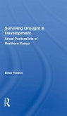 Surviving Drought And Development (eBook, PDF)