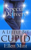 Special Delivery (eBook, ePUB)