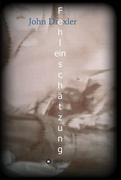 Fehleinschätzung (eBook, ePUB)