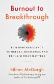 Burnout to Breakthrough (eBook, ePUB)
