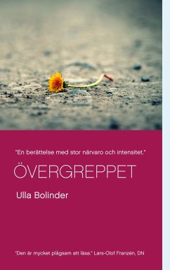 Övergreppet (eBook, ePUB) - Bolinder, Ulla