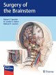 Surgery of the Brainstem (eBook, PDF) - Bild 1