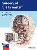 Surgery of the Brainstem (eBook, PDF)
