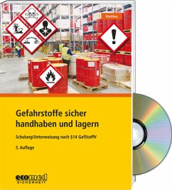 Gefahrstoffe sicher handhaben und lagern - Expertenpaket, m. 1 CD-ROM - Matthes, Günter