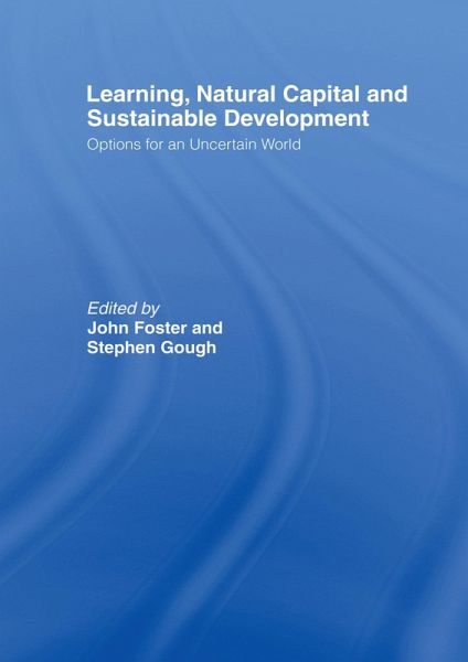 Learning, Natural Capital and Sustainable Development (eBook, PDF)