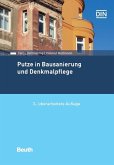 Putze in Bausanierung und Denkmalpflege (eBook, PDF)