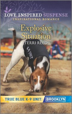 Cover Explosive Situation (eBook, ePUB)
