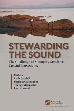 Cover Stewarding the Sound (eBook, ePUB)