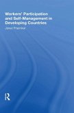 Workers' Participation And Self-management In Developing Countries (eBook, PDF)