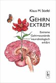 Gehirn extrem (eBook, ePUB)