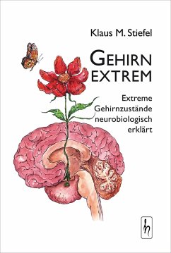 Gehirn extrem (eBook, ePUB) - Stiefel, Klaus M.