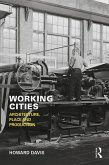 Working Cities (eBook, PDF)