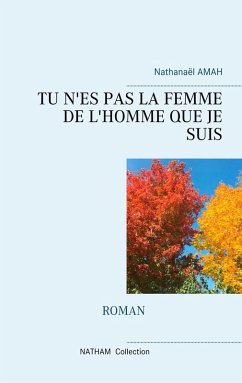TU N'ES PAS LA FEMME DE L'HOMME QUE JE SUIS (eBook, ePUB)