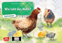 Wie lebt das Huhn? Kamishibai Bildkartenset. - Stöckl-Bauer, Katharina