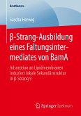 ¿-Strang-Ausbildung eines Faltungsintermediates von BamA