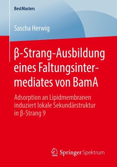 ¿-Strang-Ausbildung eines Faltungsintermediates von BamA - Herwig, Sascha