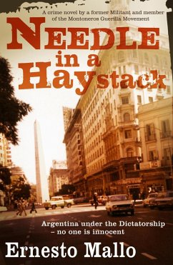 Needle in a Haystack (eBook, ePUB) - Mallo, Ernesto