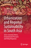 Urbanization and Regional Sustainability in South Asia (eBook, PDF)