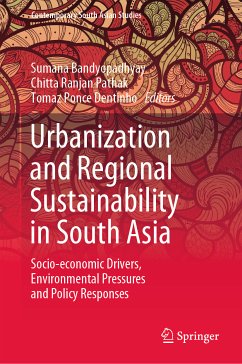 Urbanization and Regional Sustainability in South Asia (eBook, PDF)