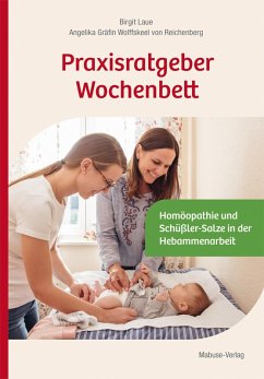 Praxisratgeber Wochenbett (eBook, PDF) - Laue, Birgit; Wolffskeel Von Reichenberg, Angelika Gräfin