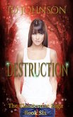 Destruction (eBook, ePUB)