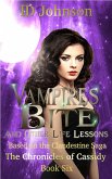 Vampires Bite and Other Life Lessons (eBook, ePUB)