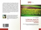 Le Moringa, plante du renouveau écologique mondial