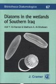 Diatoms in the wetlands of Southern Iraq