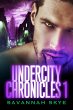 Undercity Chronicles 1 (eBook, ePUB) - Bild 1