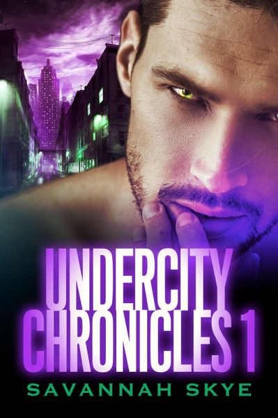 Undercity Chronicles 1 (eBook, ePUB)